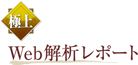 「極上」Web解析レポート